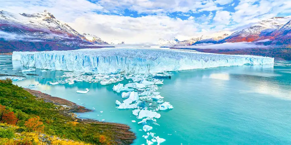Calafate