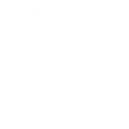 seguridad